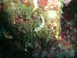 2012-09-19 12-05-06 Steven